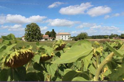 The French Retreat, Bordeaux Region, Yviers