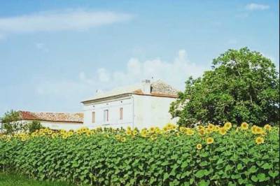 The French Retreat, Bordeaux Region, Yviers