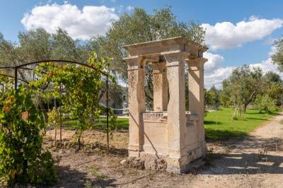 Tenuta Oasi Verde Casin'Anand, Novoli